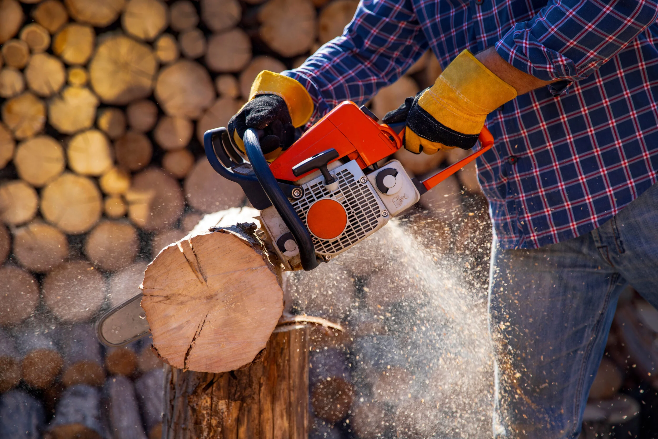 Chainsaw Arvada Rent All